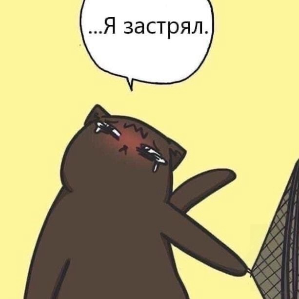 ci4tpHfjLR8.jpg.jpeg