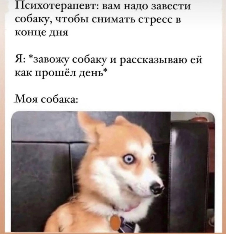 DMq8axEOiv8.jpg.jpeg