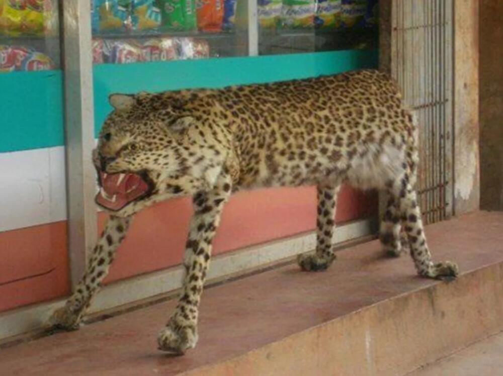 i9hunD5hiD0.jpg.jpeg