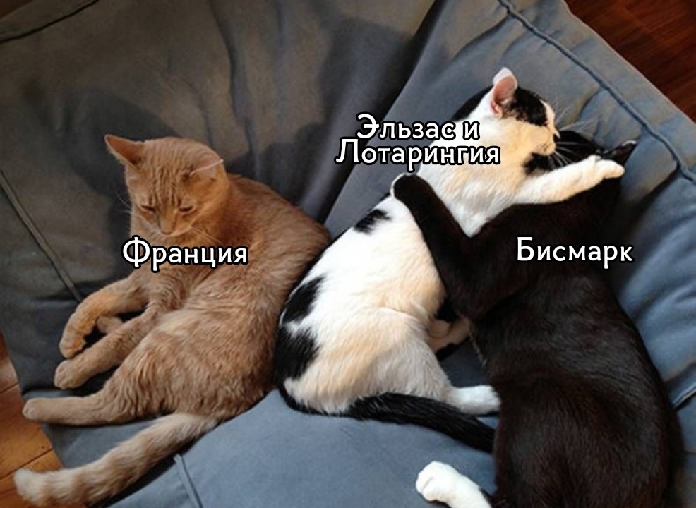k3cH8UNEJtw.jpg.jpeg