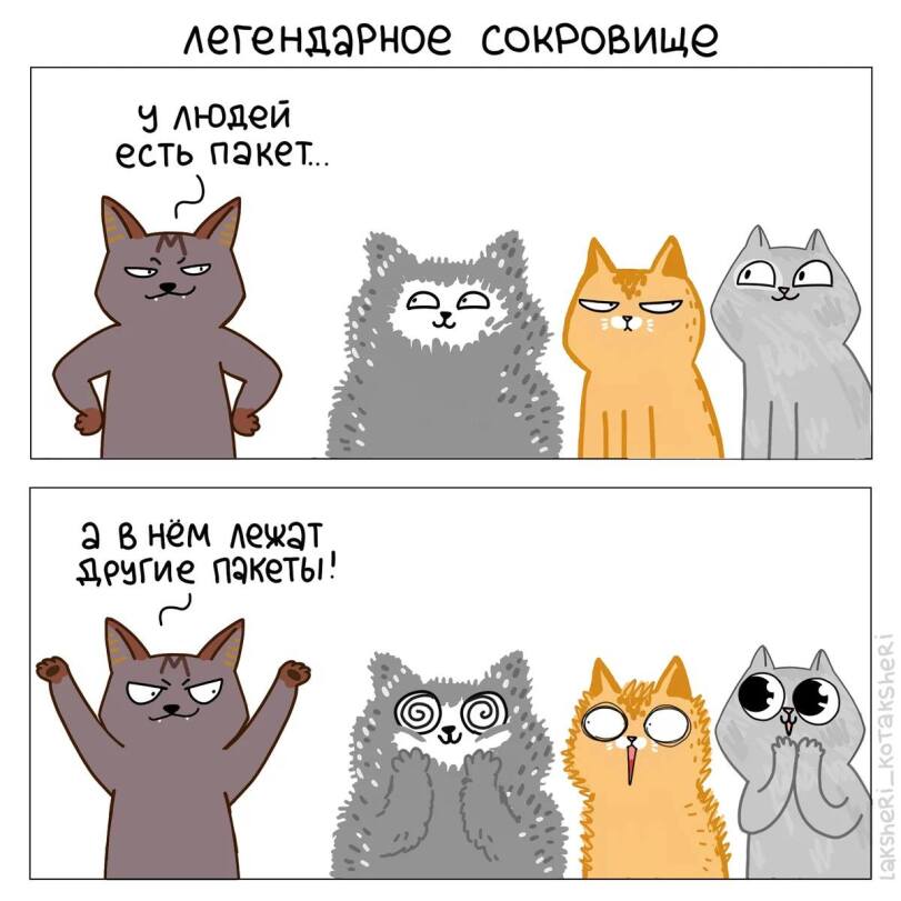 %D0%9A%D0%BE%D0%BC%D0%B8%D0%BA%D1%81%D1%8B-laksheri_kotaksheri-8134390.jpeg