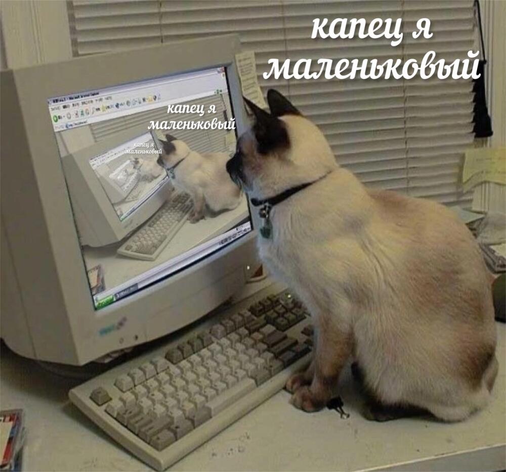 L1Rr2HoMcho.jpg.jpeg