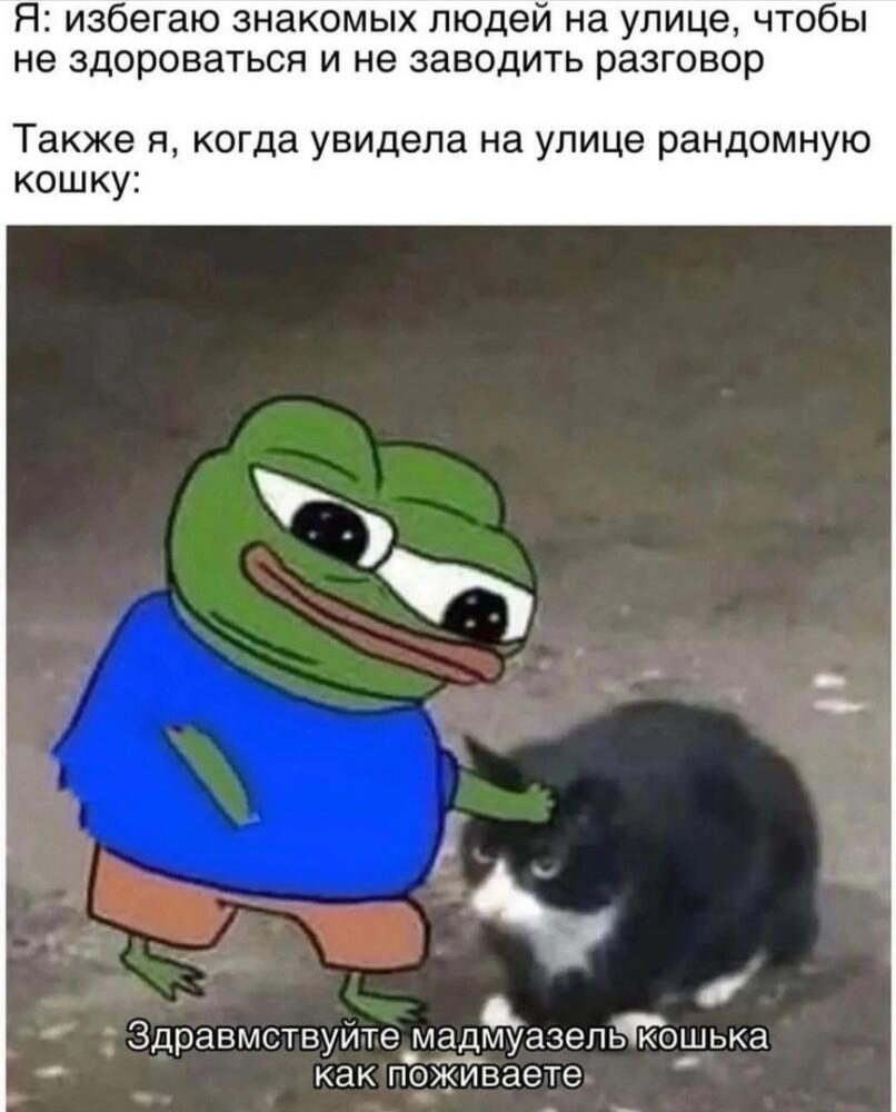 onlbnzJVV2k.jpg.jpeg