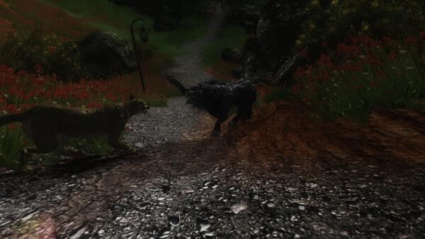 Oblivion20231014 05.56.52