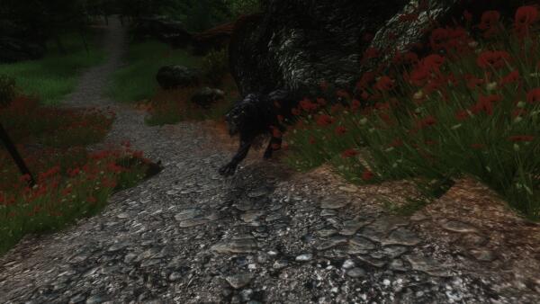 Oblivion20231014 06.04.24