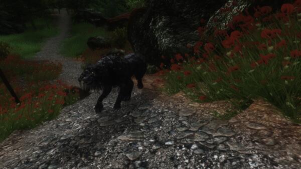 Oblivion20231014 06.04.26