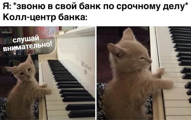 %D1%81%D0%BC%D0%B5%D1%88%D0%BD%D1%8B%D0%B5-%D0%BA%D0%B0%D1%80%D1%82%D0%B8%D0%BD%D0%BA%D0%B8-%D0%BA%D0%BE%D1%82%D1%8D-8169556.png