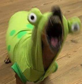 SYZ0XsWfWSU.jpg.jpeg