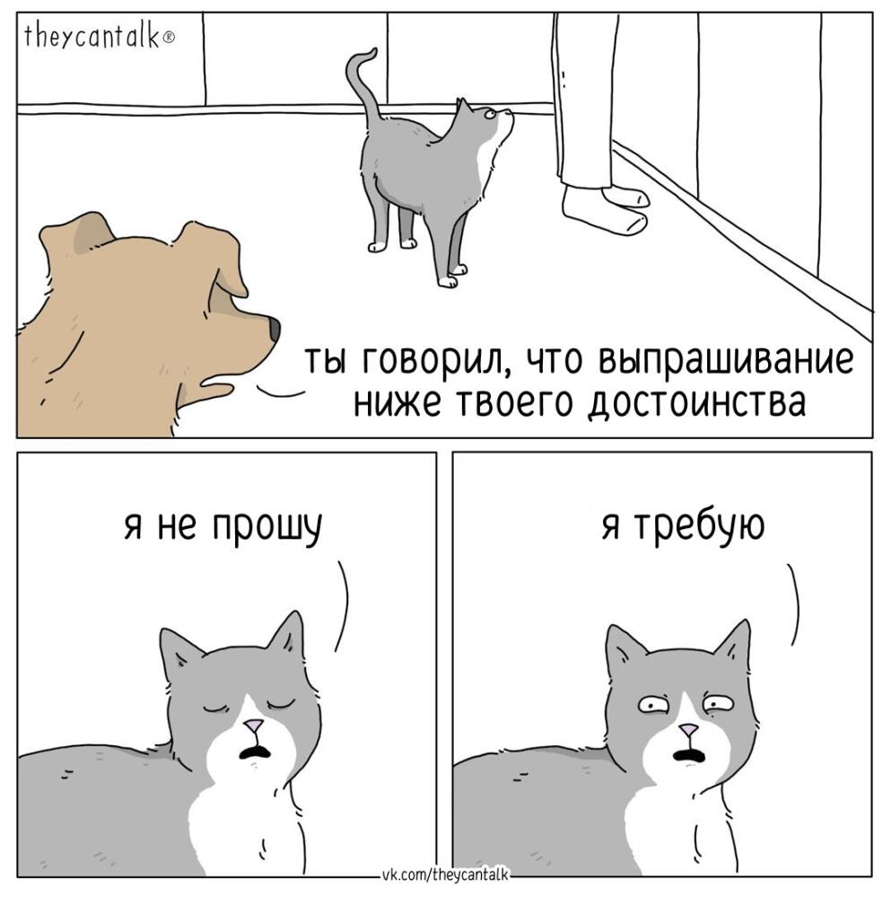 theycantalk-%D0%9A%D0%BE%D0%BC%D0%B8%D0%BA%D1%81%D1%8B-%D0%BA%D0%BE%D1%82%D1%8D-8164954.jpeg