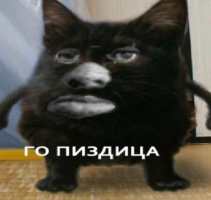 u4fD_7QMcDA.jpg.jpeg