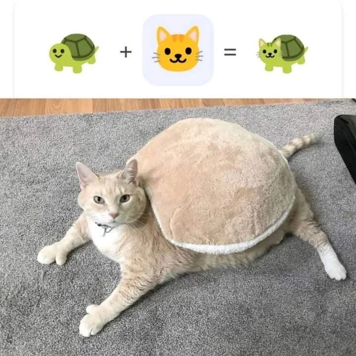 vWaWIJ_gxk8.jpg.jpeg