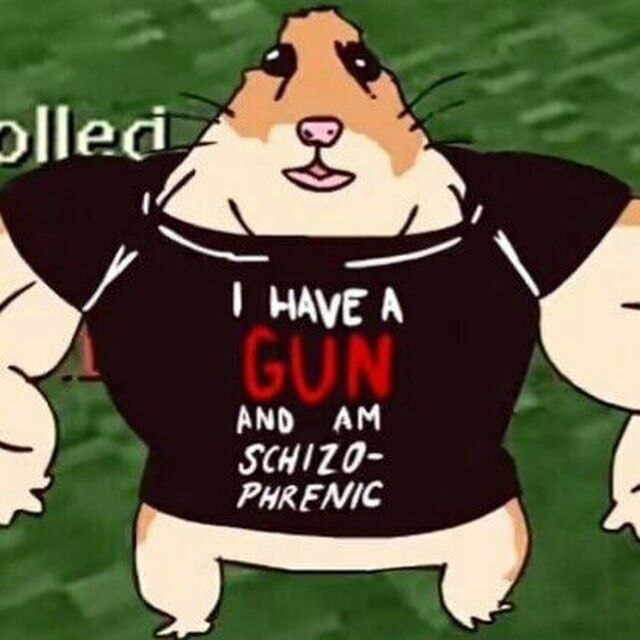 wbqCQe8EqrM.jpg.jpeg