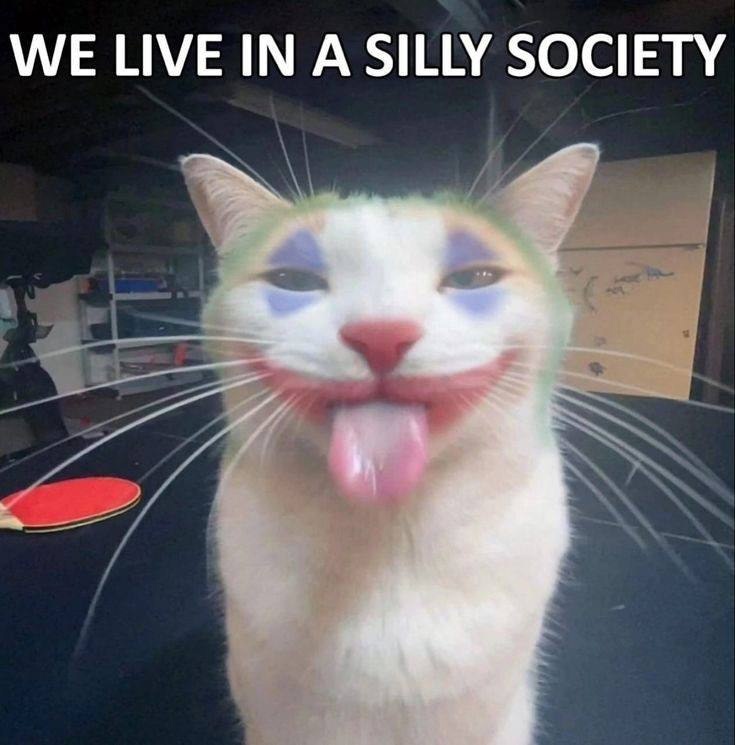 yxjdrfxpeoM.jpg.jpeg