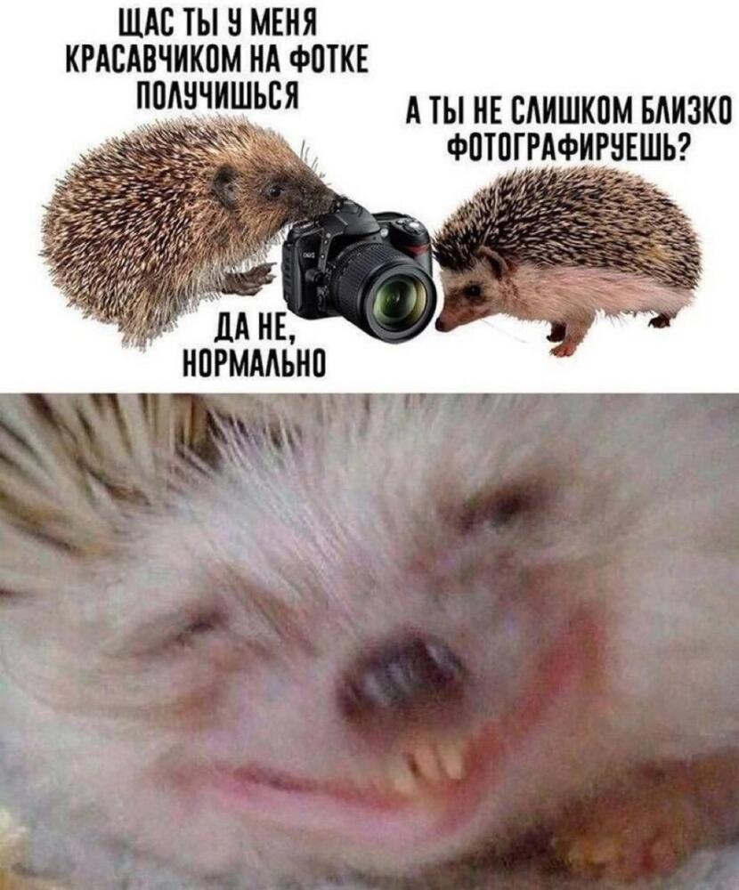Zqrz6D5Hm0g.jpg.jpeg