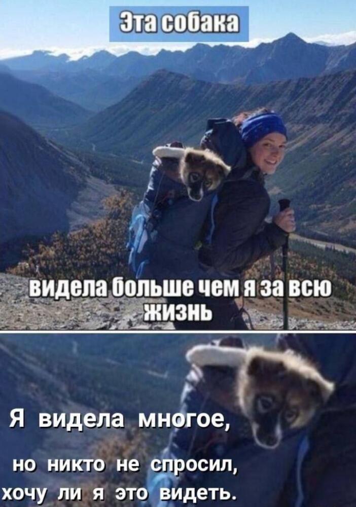 %D0%9F%D1%80%D0%B8%D0%BA%D0%BE%D0%BB%D1%8B-%D0%B4%D0%BB%D1%8F-%D0%B4%D0%B0%D1%83%D0%BD%D0%BE%D0%B2-%D1%80%D0%B0%D0%B7%D0%BD%D0%B.jpeg