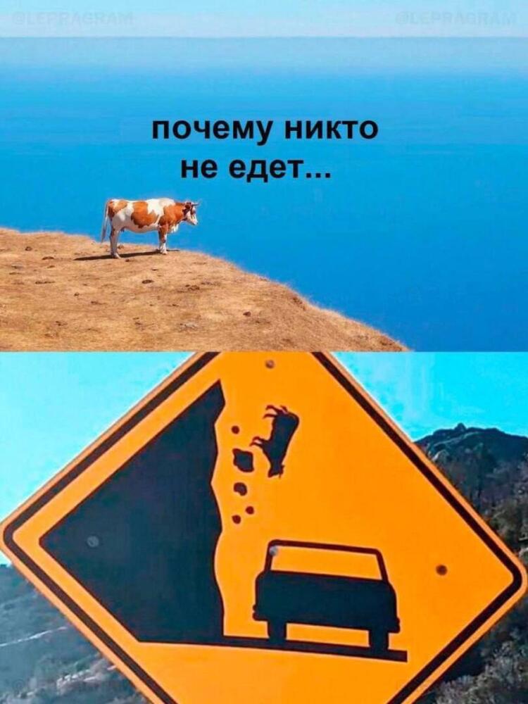 %D0%9F%D1%80%D0%B8%D0%BA%D0%BE%D0%BB%D1%8B-%D0%B4%D0%BB%D1%8F-%D0%B4%D0%B0%D1%83%D0%BD%D0%BE%D0%B2-%D1%80%D0%B0%D0%B7%D0%BD%D0%B.jpeg