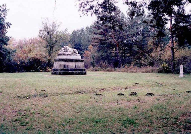 0003-b-groblje-U-SUMARICAMA-danas1-768x538.jpg.jpeg