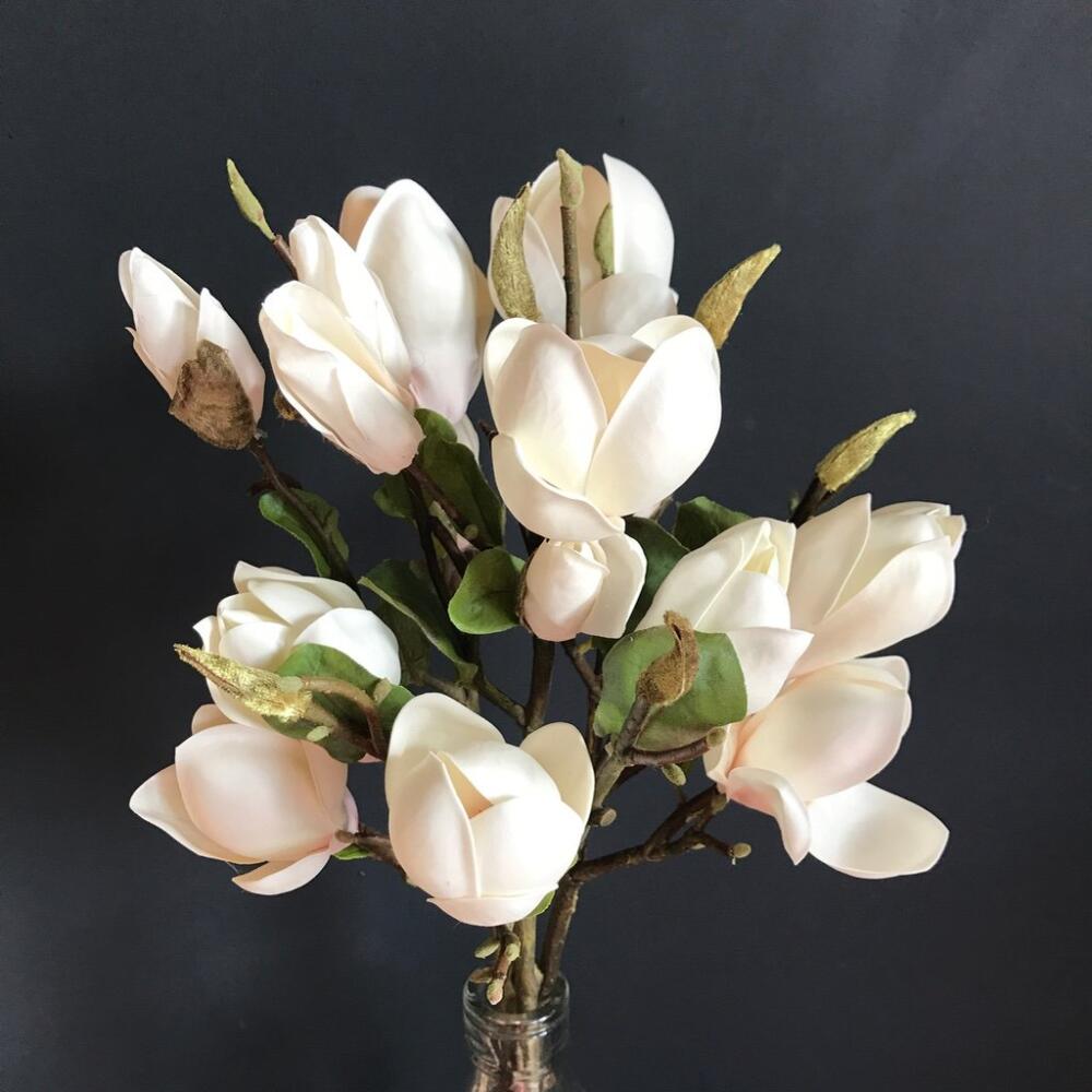 1633361908_7-oir-mobi-p-buket-iz-magnolii-tsveti-krasivo-foto-7.jpg.jpeg