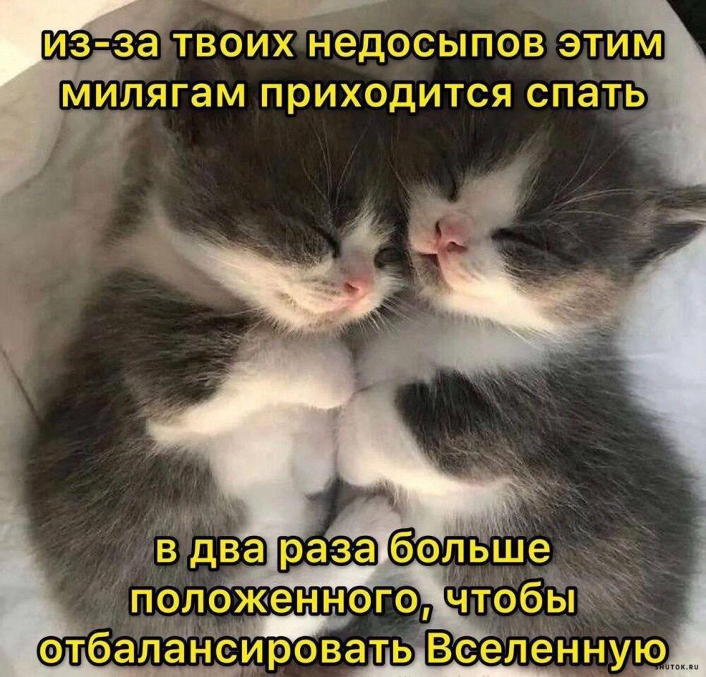 1697905132_shutok.ru.8.jpg.jpeg