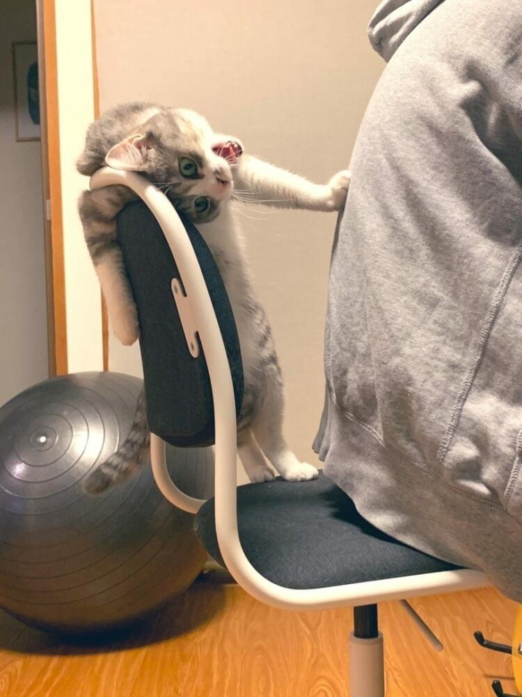 2.jpg.jpeg