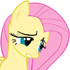 2054.gif.webp.png