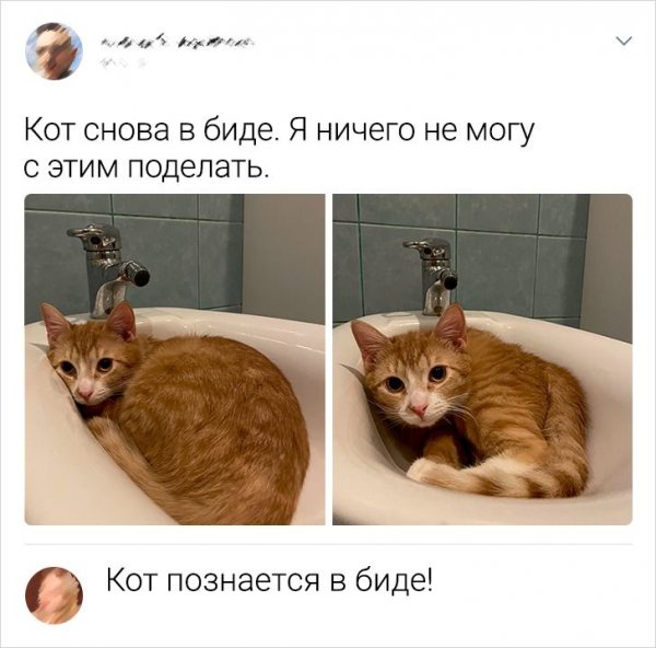 216373_1_trinixy_ru.jpg.jpeg