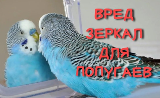 30-11-2023-201631.jpg.jpeg