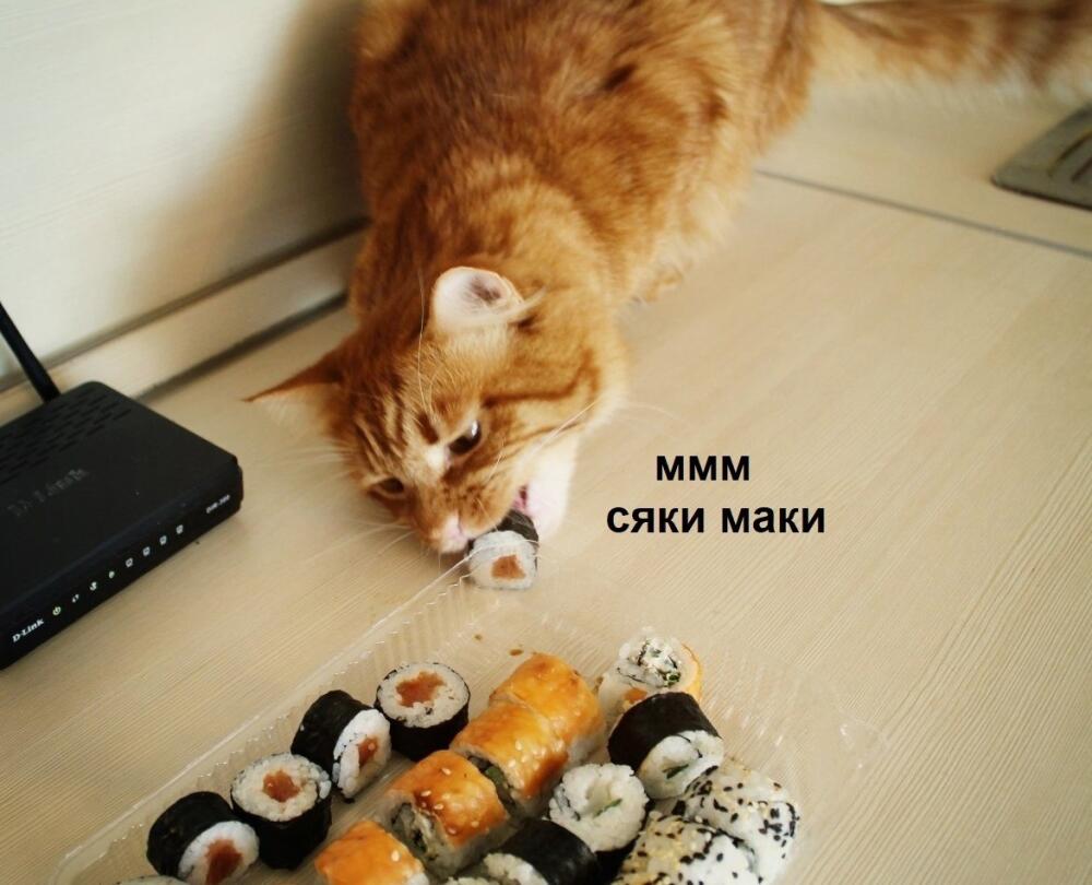 5zbvOK2-mrY.jpg.jpeg