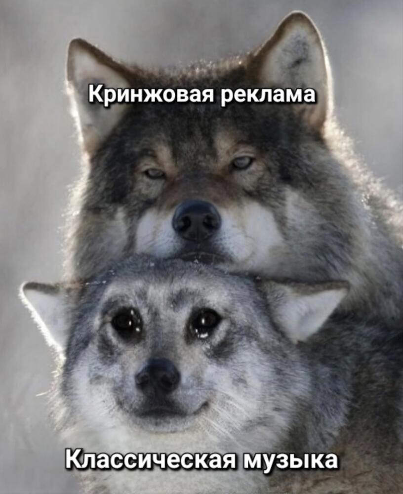 68OjZDjgGC4.jpg.jpeg