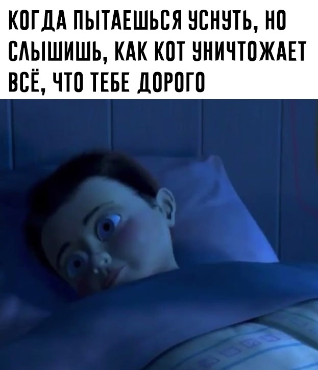 8SXhePRVQew.jpg.jpeg