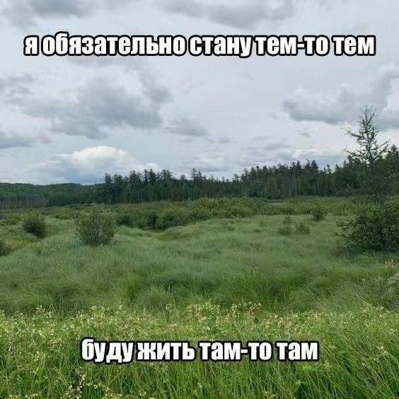 907E794D23AA9C72C72D94C861F3B802DB36CC24.jpg.jpeg
