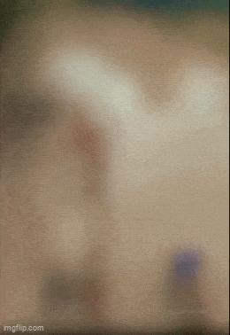 c2690314_resizedScaled_740to1075.gif