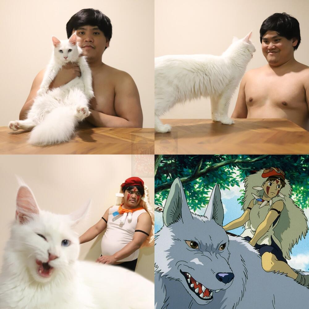 dTigCGpdJTo.jpg.jpeg