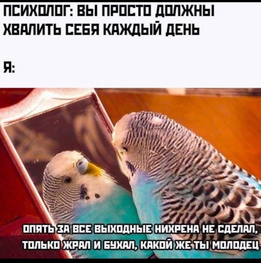e58e74f69637d5b7216200b48119da0e.jpg.jpeg