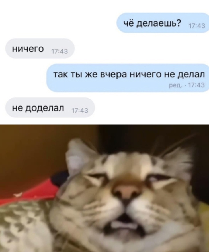 Gc193sya5Dw.jpg.jpeg