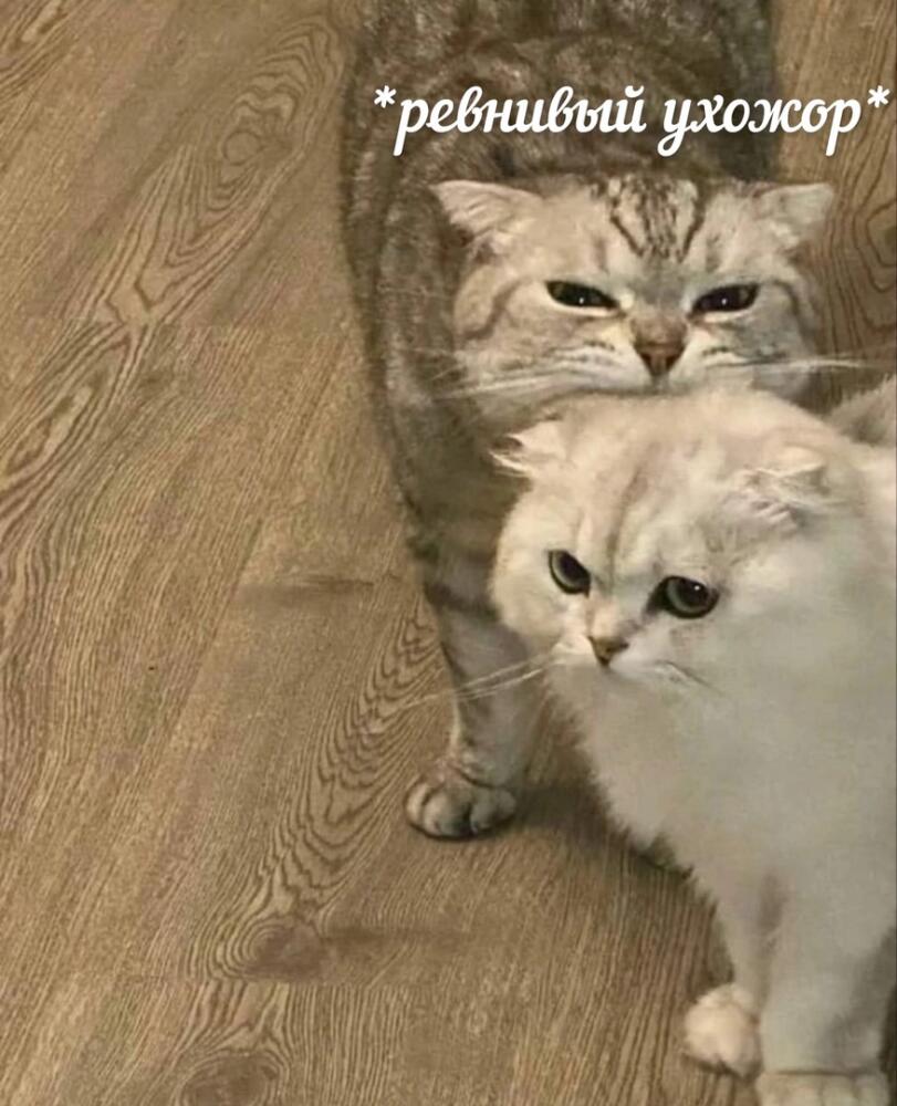 gFSrBW7ytyc.jpg.jpeg