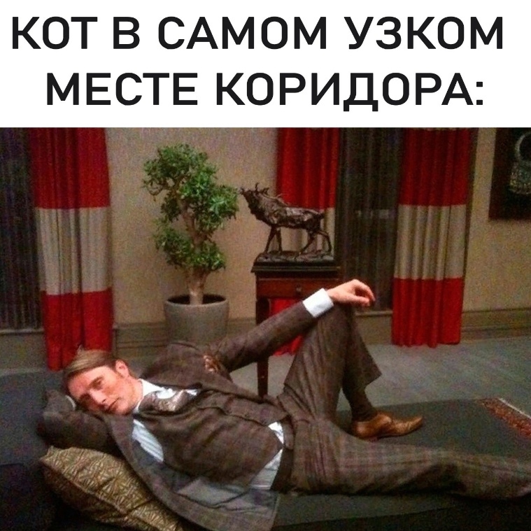 gxctDF92Res.jpg.jpeg