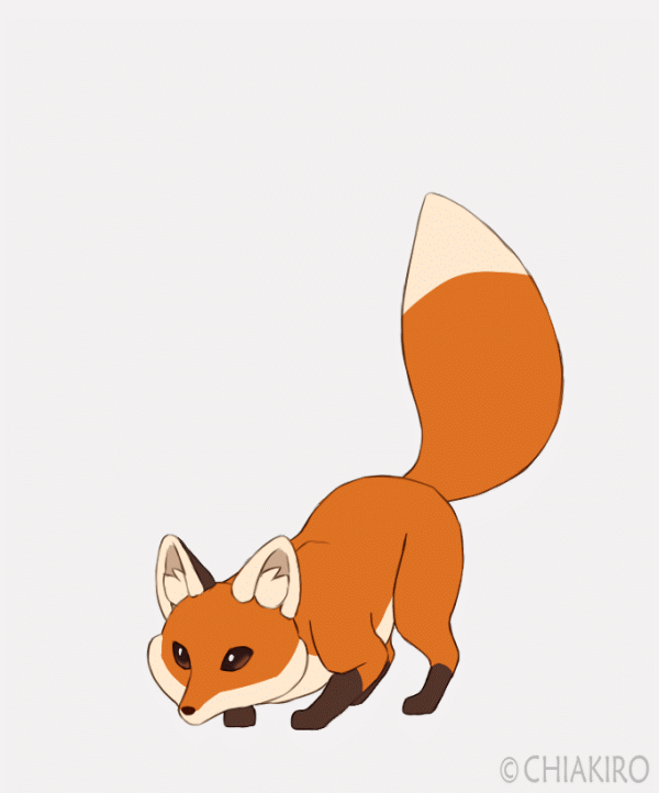 image_861705190704334661576.gif