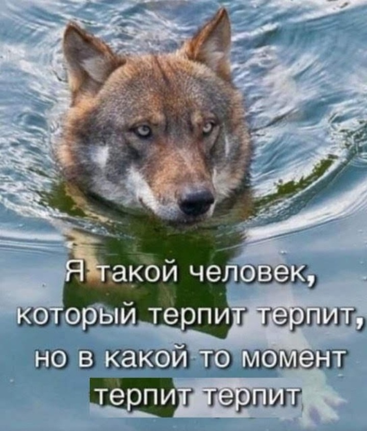iO_0Cfha4Q0.jpg.jpeg