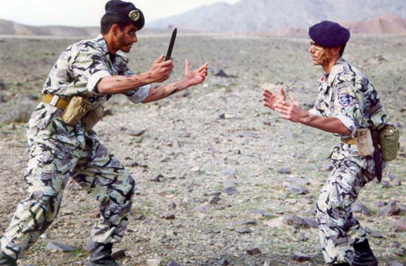 Iranian%20Navy%20Takavaran%20Commandos%20combat%20training.jpg.jpeg