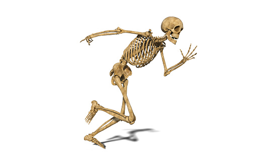 istockphoto-1047914382-170667a.jpg.jpeg