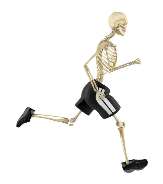istockphoto-1368838040-612x612.jpg.jpeg