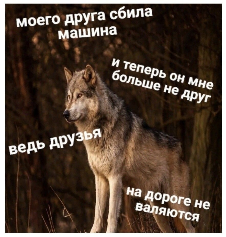iX5r8hyJxhI.jpg.jpeg