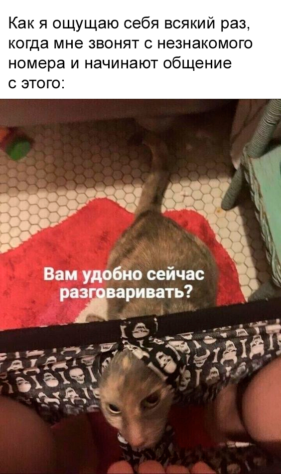 jpg.jpeg