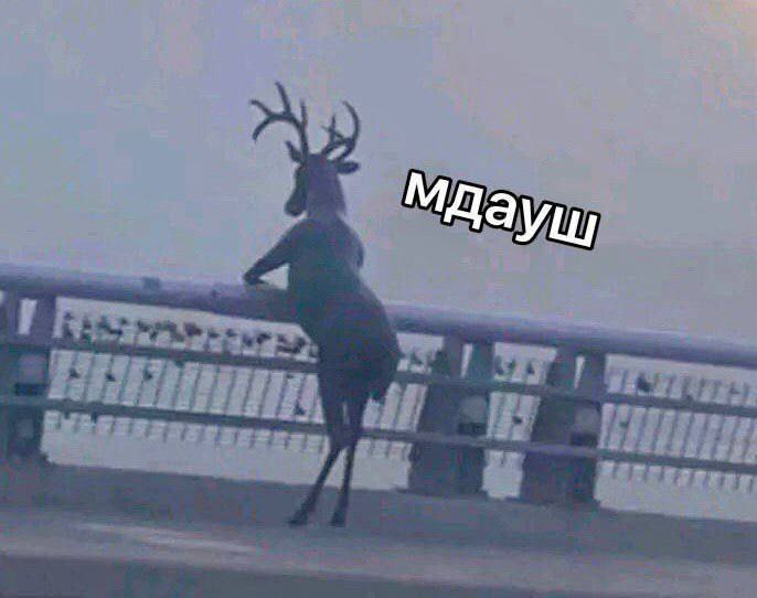 jpg.jpeg
