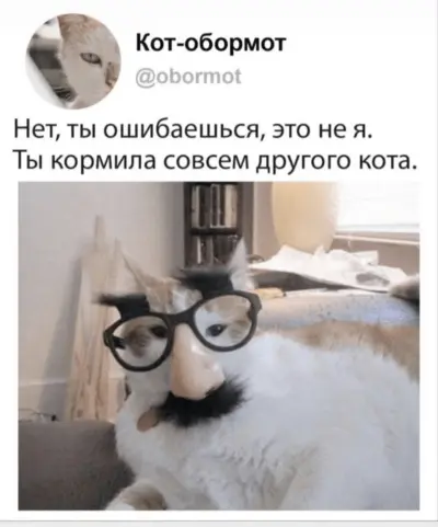 %D0%BA%D0%BE%D1%82%D1%8D-%D0%BA%D0%B0%D1%80%D1%82%D0%B8%D0%BD%D0%BA%D0%B8-8210777.png.webp.png