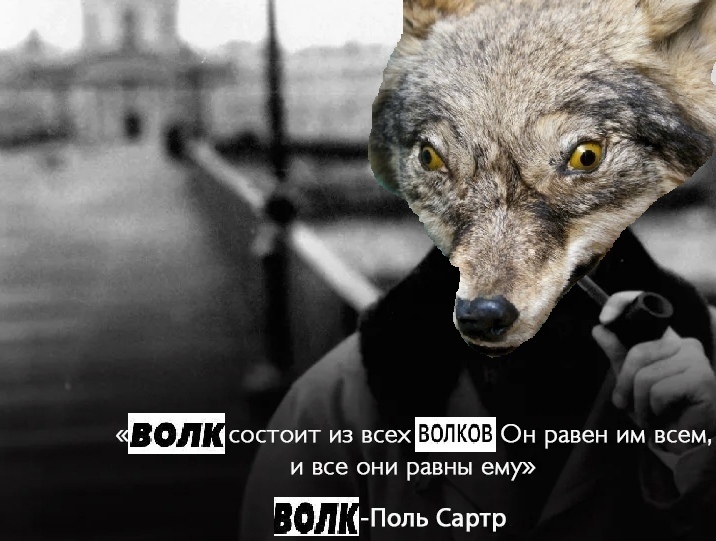 kyoZUzYuQso.jpg.jpeg