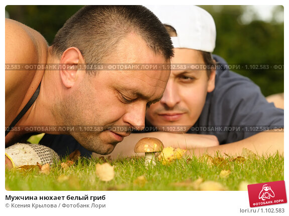 muzhchina-nuhaet-belyi-grib-0001102583-preview.jpg.jpeg