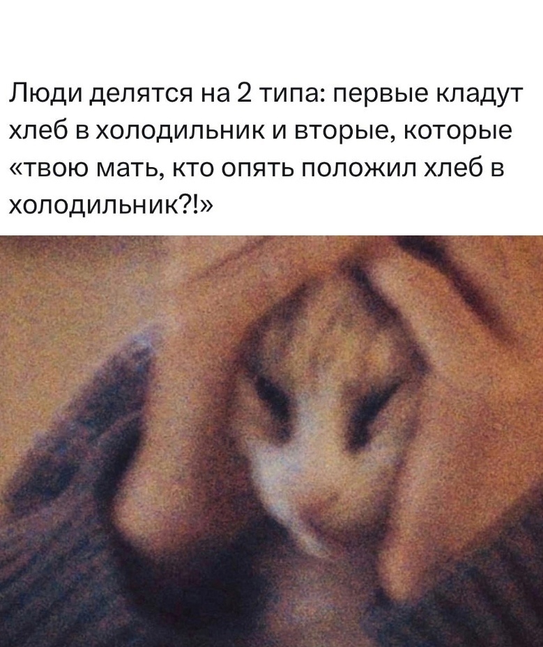 Nqqt5ygRh1M.jpg.jpeg