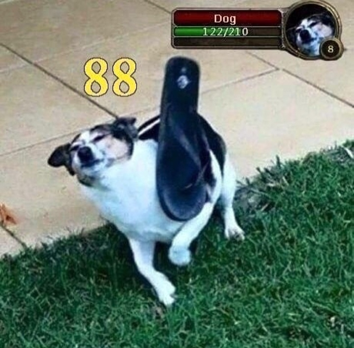 QCQ7znqmy1k.jpg.jpeg